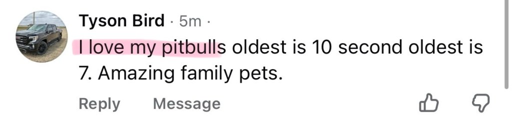 Signs You’re Engaging with a Pitbull Bot or&nbsp;Troll